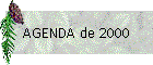 AGENDA de 2000