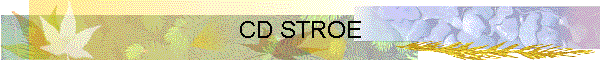 CD STROE