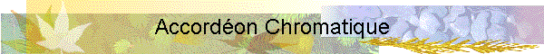Accordon Chromatique