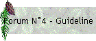 Forum N4 - Guideline