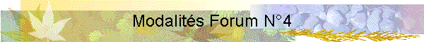Modalits Forum N4