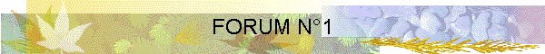FORUM N1