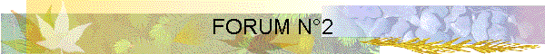 FORUM N2