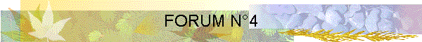FORUM N4